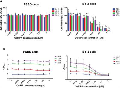 Differential effects of the recombinant type 1 ribosome-inactivating protein, OsRIP1, on growth of PSB-D and BY-2 cells